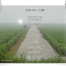 견우와 직녀 이미지