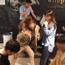 노원위드피아노학원 이미지