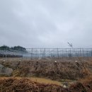 치서농장 네이버블로그
