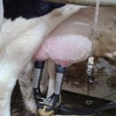 왕산농장 이미지