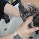 리메디칼 | 윤서 케어리스트의 손길, 찰스리헤어테크 천안쌍용동점 힐링스파 리얼후기