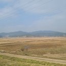 간척1리 이미지