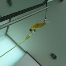 강동명일활기찬재활의학과의원 이미지