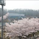 수성구민운동장 이미지