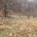 재림농장 이미지