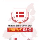 덴마크 유산균특가 이미지