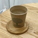 둔산동 ST타워 | 대전 써마웨이브 맛집, 둔산동 정성현 스킨앤바디 재방문