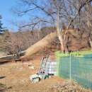 정일당강씨묘 | [경기 고양] 대자동 왕실 묘역 답사(5) - 명나라 여인 굴씨(屈氏) 묘