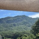 월악농장 | [충주 반려견 동반 계곡] 월악마루_평상대여 물놀이 하기 좋은 곳