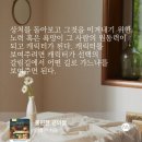 종합편의점 - 무안군 도림길 21-1 | 종합편의점