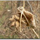 승기천 신연수역 이미지