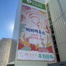 비비하우스 이미지