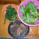 하식도 Daum카페