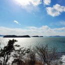 진해천자원 이미지