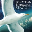 영화속 경제이야기 | '갈매기의 꿈(Jonathan Livingston Seagull, 1973)'과 직업 이미지