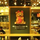 대창정미소 | 카시오 엑슬림 EX-Z1050 (CASIO EX-Z1050)