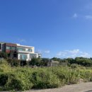 다미민박 이미지