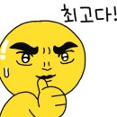 시현애견사랑 네이버블로그