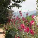 해강약국 이미지