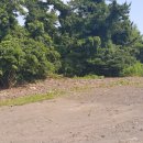 표선리-2 이미지