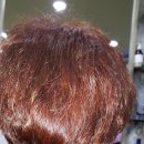 향기나라 이미지