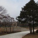 단장체육공원 이미지