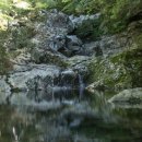 서귀포자연휴양림 이미지