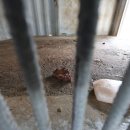 수색목장 이미지