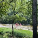 털보네설악강변 이미지