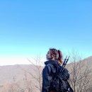 명산사슴농장 이미지