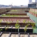 신탄진동주민센터 이미지