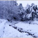 눈꽃마을펜션 이미지