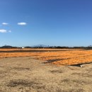 동백목장2 이미지