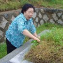 고창초교 이미지