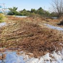 들샘농장 이미지