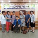교육사랑희망세상