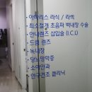 제니스안과의원 네이버블로그