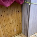 글로벌샤인유치원 이미지