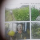 상임농원 이미지