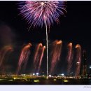 서울세계불꽃축제 Daum카페
