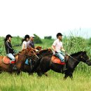 성읍승마장 이미지