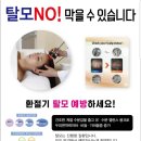 더블유엠에스테틱시지점