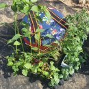 하다지재농장 | 2022.3.~ 리틀포레스트