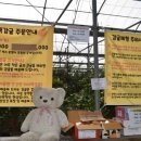 제주 감귤밭에서 힐링! 달달미깡 감귤체험 솔직 후기
