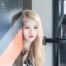더벙커 티스토리