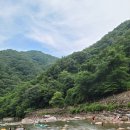 정자나무펜션 네이버블로그