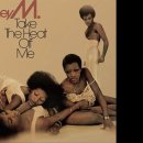 Boney M 조용필 이미지