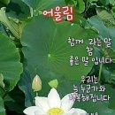 맑은 아침 이미지