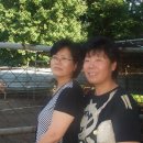 진남 농장 이미지