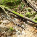 상대월쉼터 이미지